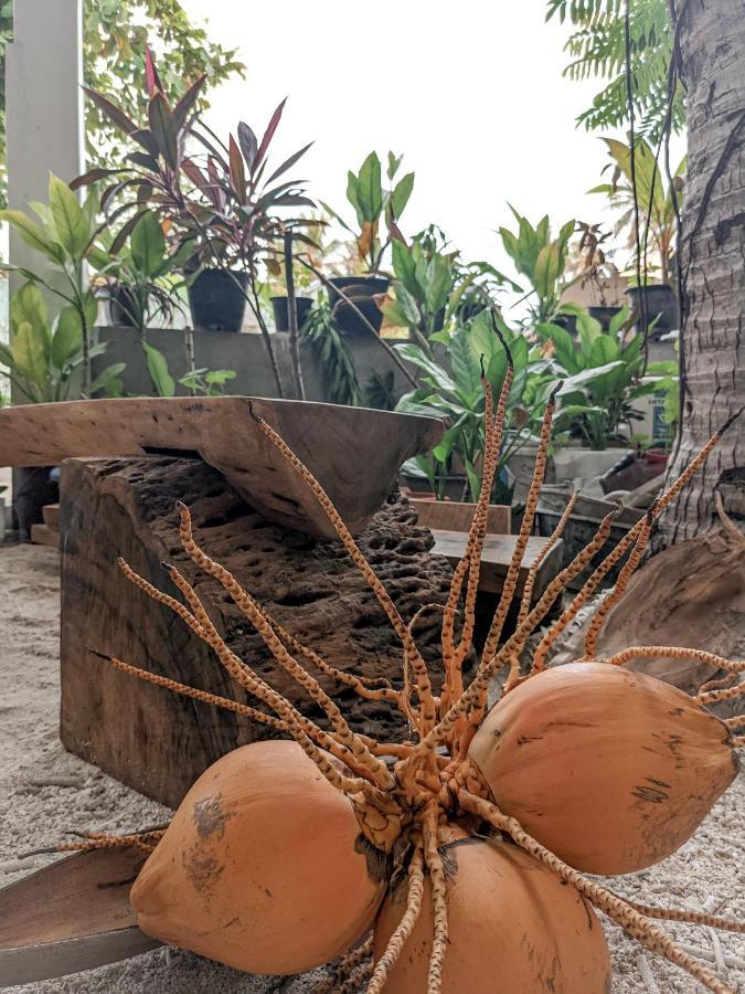 Dhoadhi Retreat Hotel Thulusdhoo Buitenkant foto