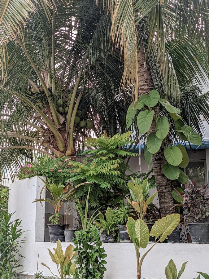 Dhoadhi Retreat Hotel Thulusdhoo Buitenkant foto