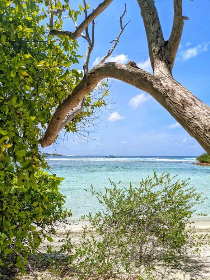 Dhoadhi Retreat Hotel Thulusdhoo Buitenkant foto