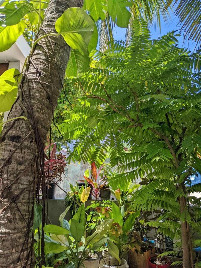 Dhoadhi Retreat Hotel Thulusdhoo Buitenkant foto