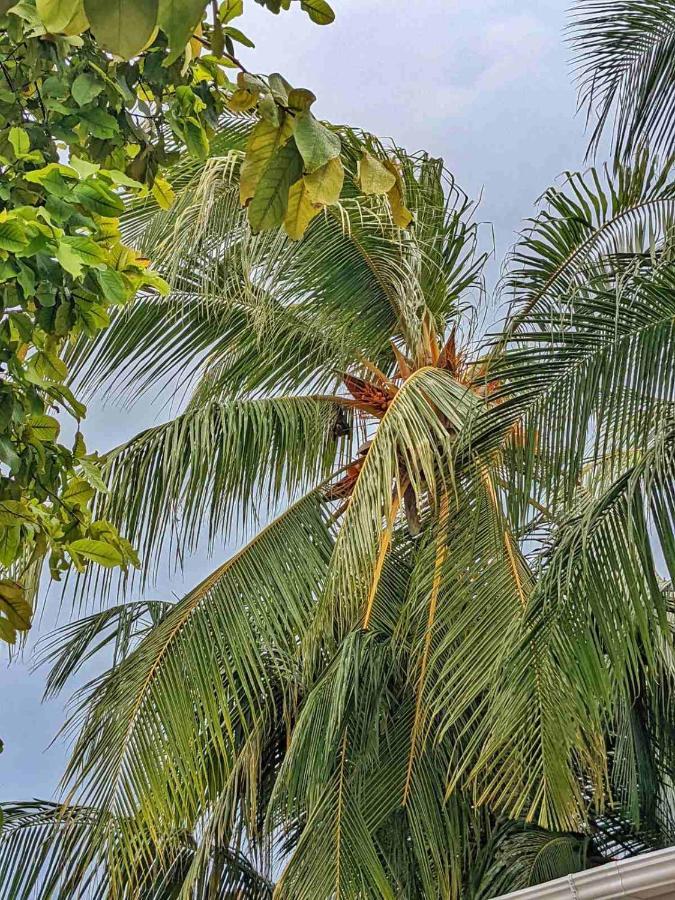 Dhoadhi Retreat Hotel Thulusdhoo Buitenkant foto